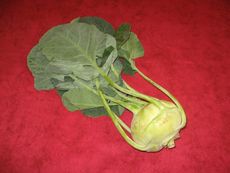 Kohlrabi.JPG